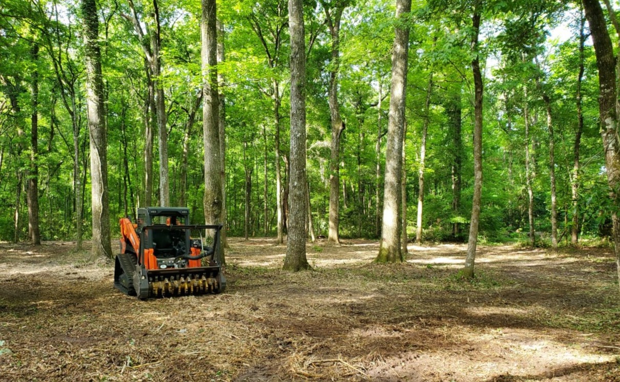 Land Clearing