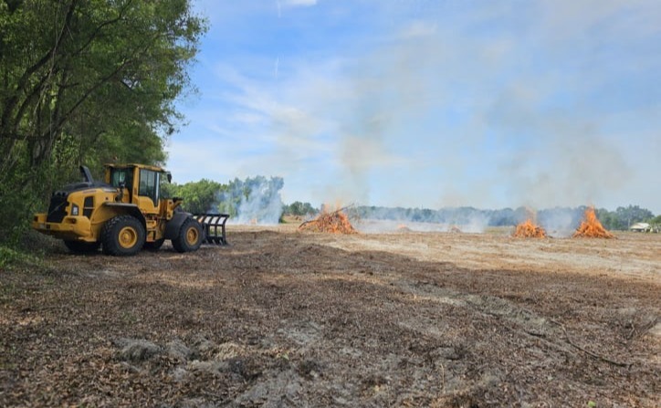 Logging Clean-up