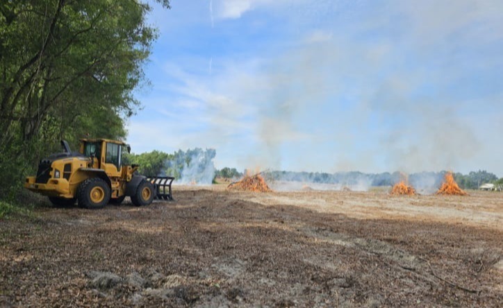 Logging Clean-up