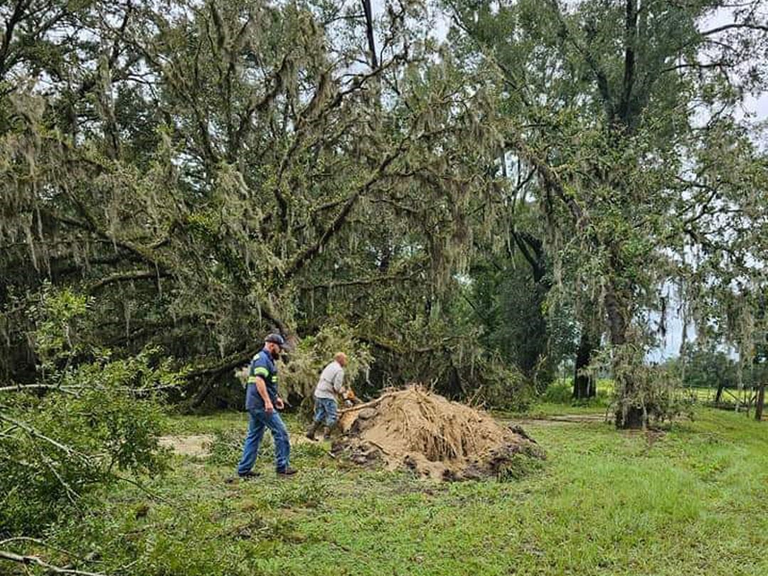 Storm Clean-up