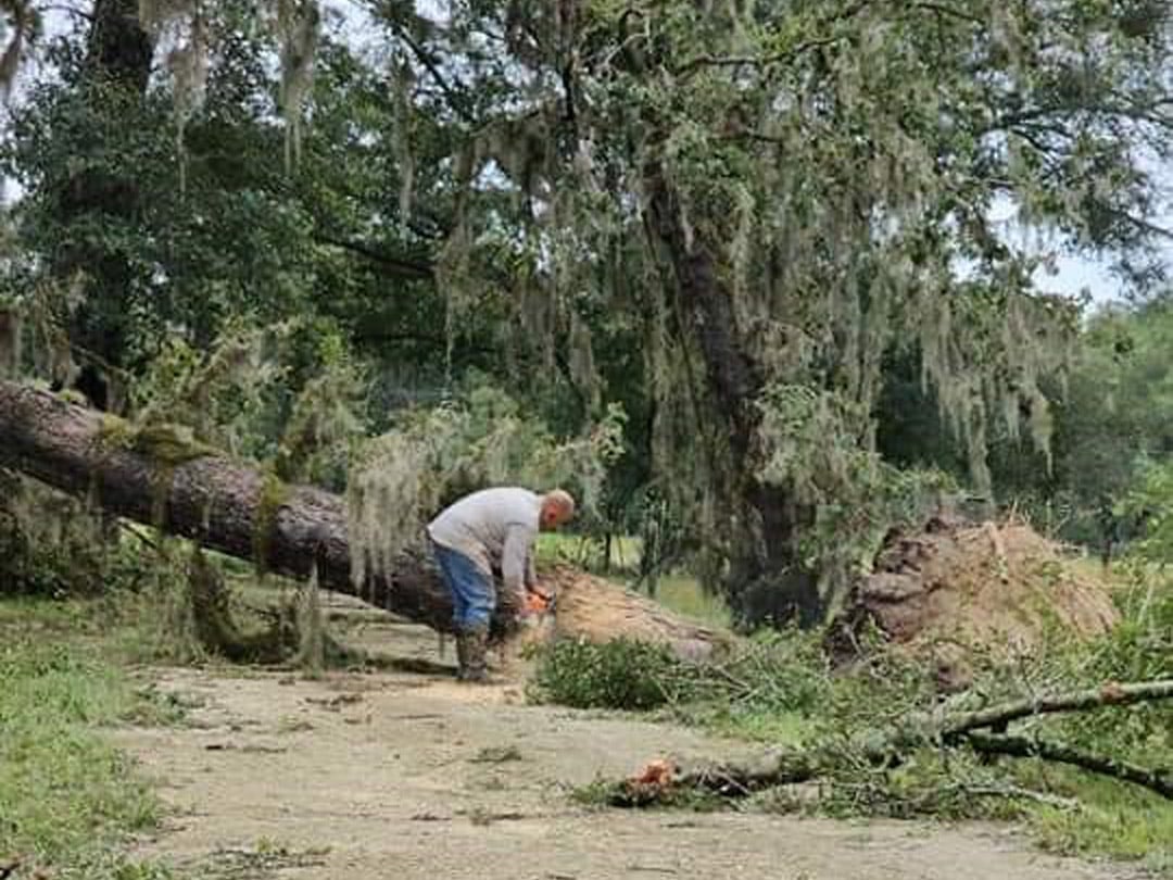 Storm Clean-up