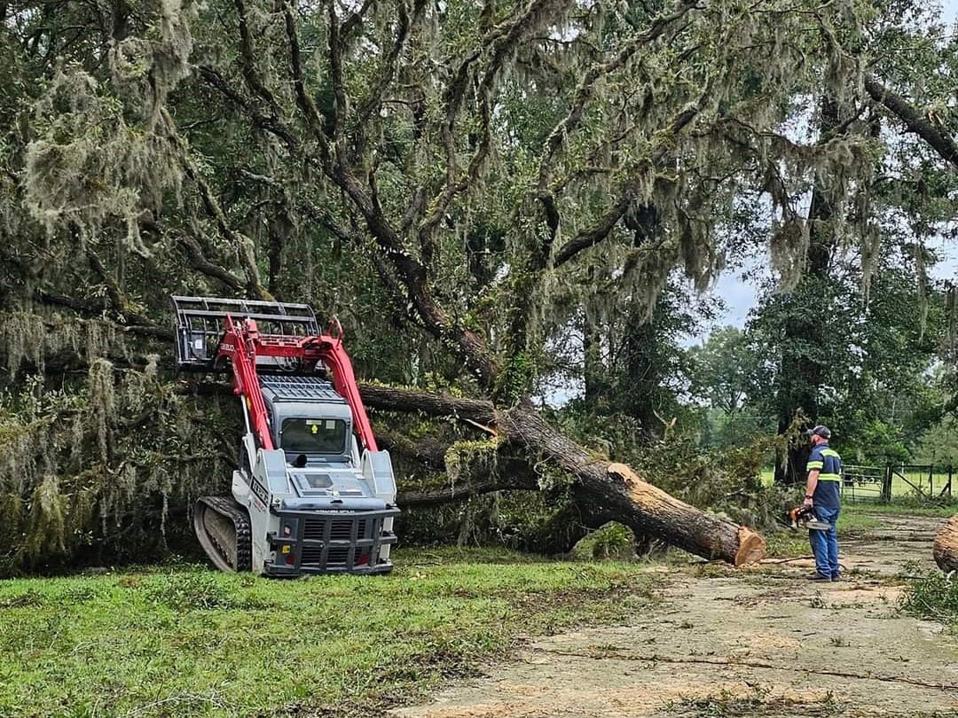 Storm Clean-up